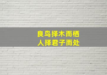 良鸟择木而栖 人择君子而处